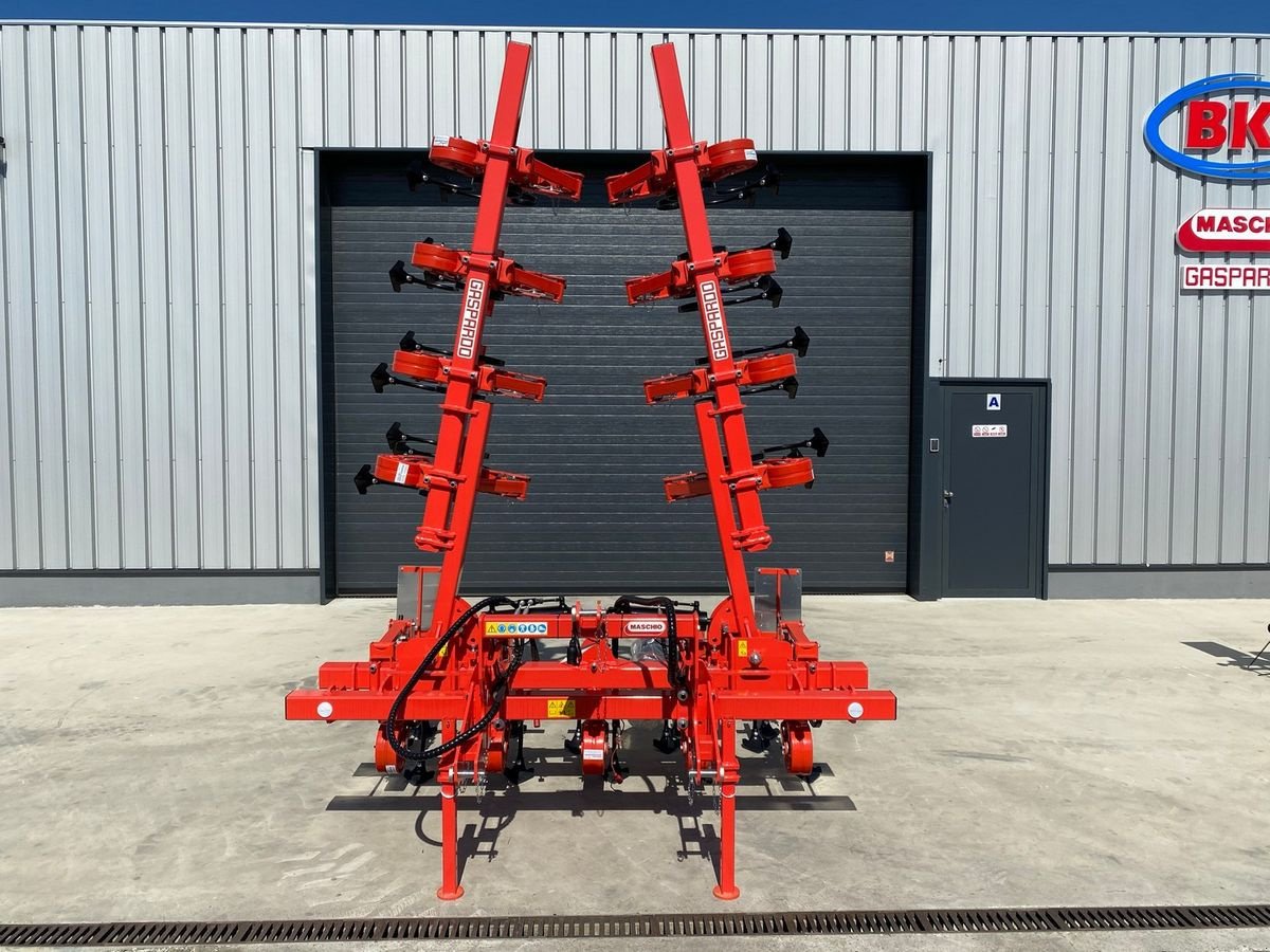Sonstige Bodenbearbeitungsgeräte typu Gaspardo Maschio HS 12 45-50 BASE, Neumaschine w Rovisce (Zdjęcie 9)
