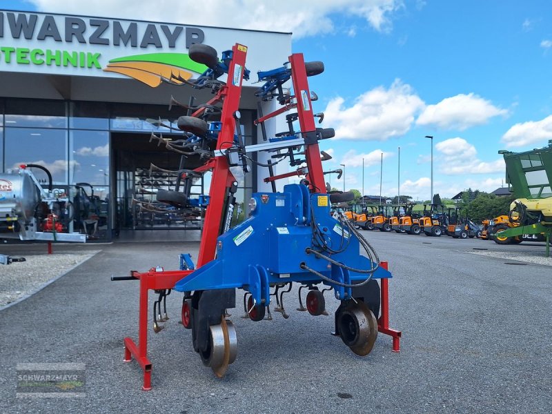 Sonstige Bodenbearbeitungsgeräte des Typs Hatzenbichler Hackgerät 8r. 75cm Kameragest., Gebrauchtmaschine in Gampern (Bild 1)