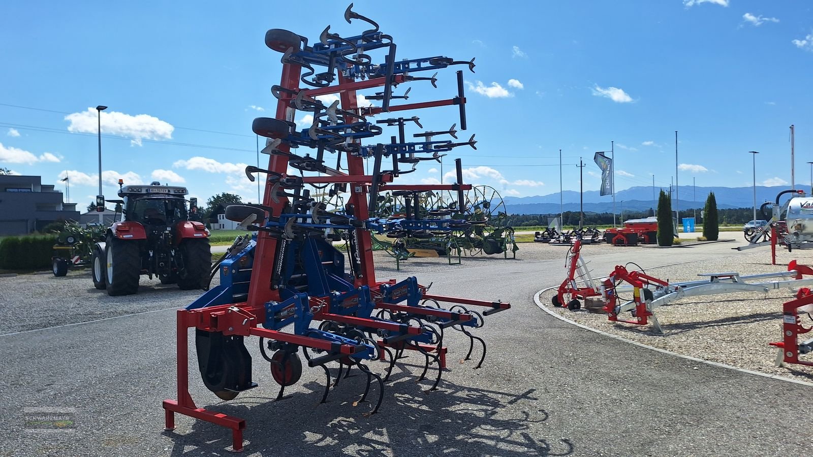 Sonstige Bodenbearbeitungsgeräte του τύπου Hatzenbichler Hackgerät 8r. 75cm Kameragest., Gebrauchtmaschine σε Gampern (Φωτογραφία 8)