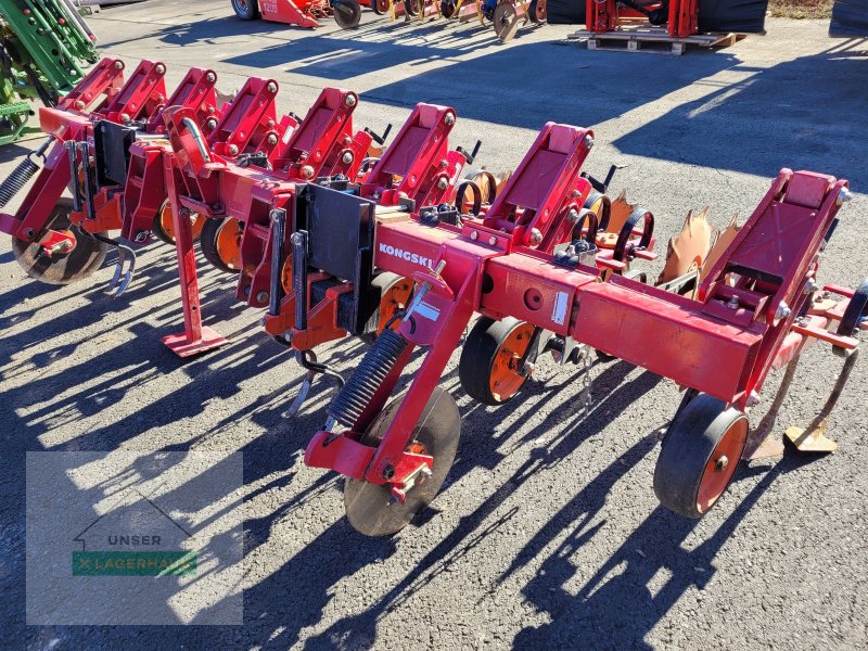 Sonstige Bodenbearbeitungsgeräte tip Kongskilde Vibracorn Hackgerät, Gebrauchtmaschine in Gleisdorf (Poză 1)