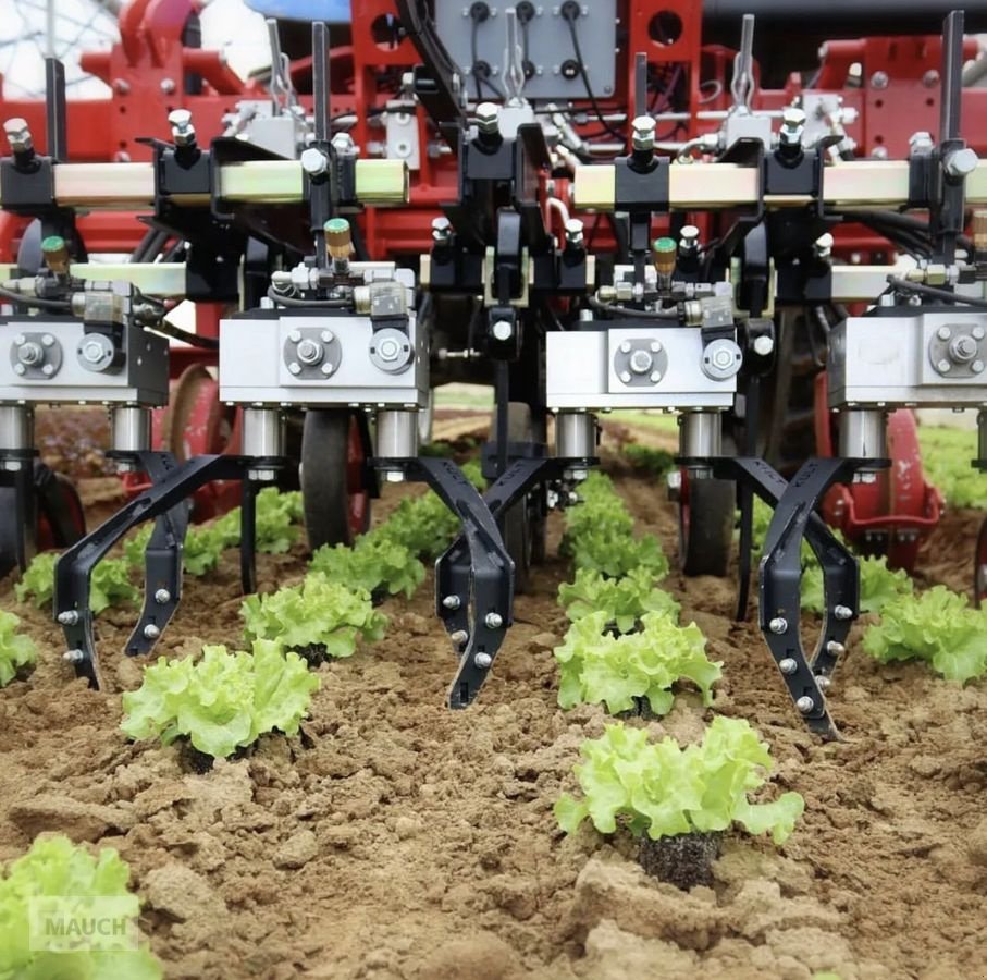 Sonstige Bodenbearbeitungsgeräte του τύπου Kress iSelect IN-ROW Hackgerät, Neumaschine σε Burgkirchen (Φωτογραφία 2)