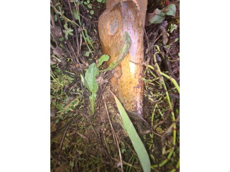 Sonstige Bodenbearbeitungsgeräte του τύπου Razol ACM, Gebrauchtmaschine σε BRAY en Val (Φωτογραφία 3)