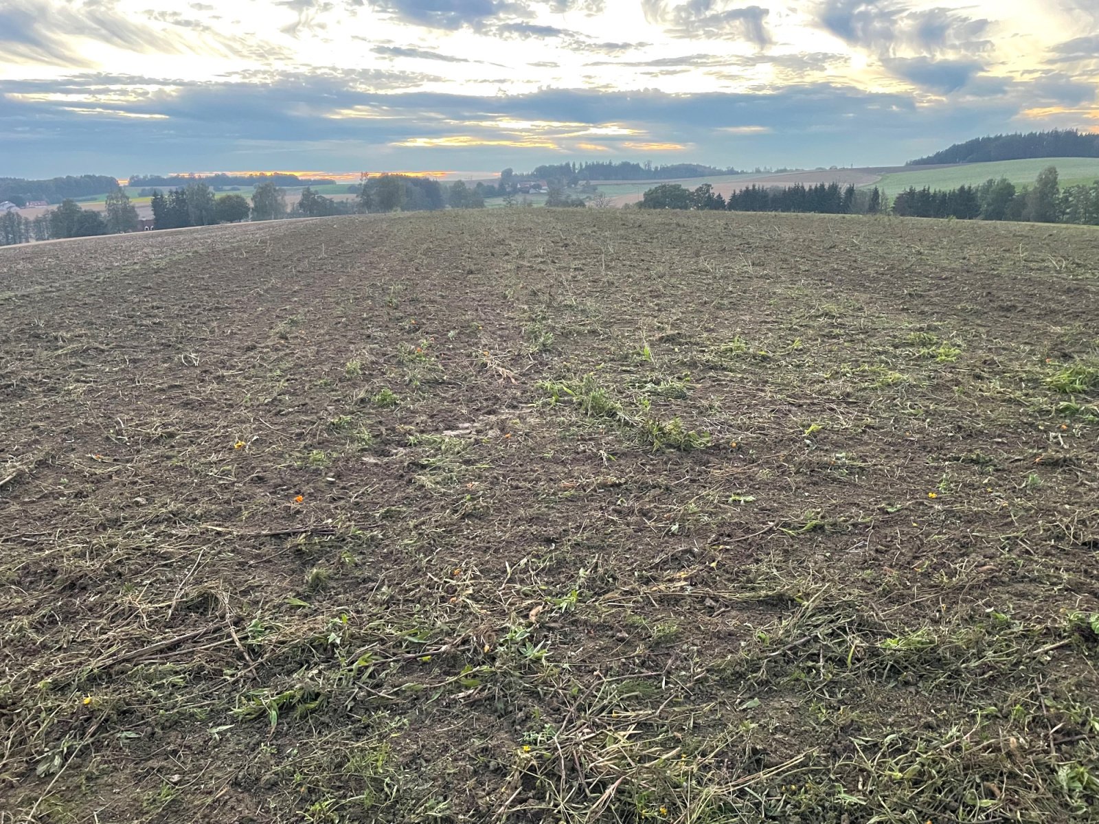 Sonstige Bodenbearbeitungsgeräte des Typs Saphir Grindstar GRS 600, Gebrauchtmaschine in Lengdorf (Bild 3)
