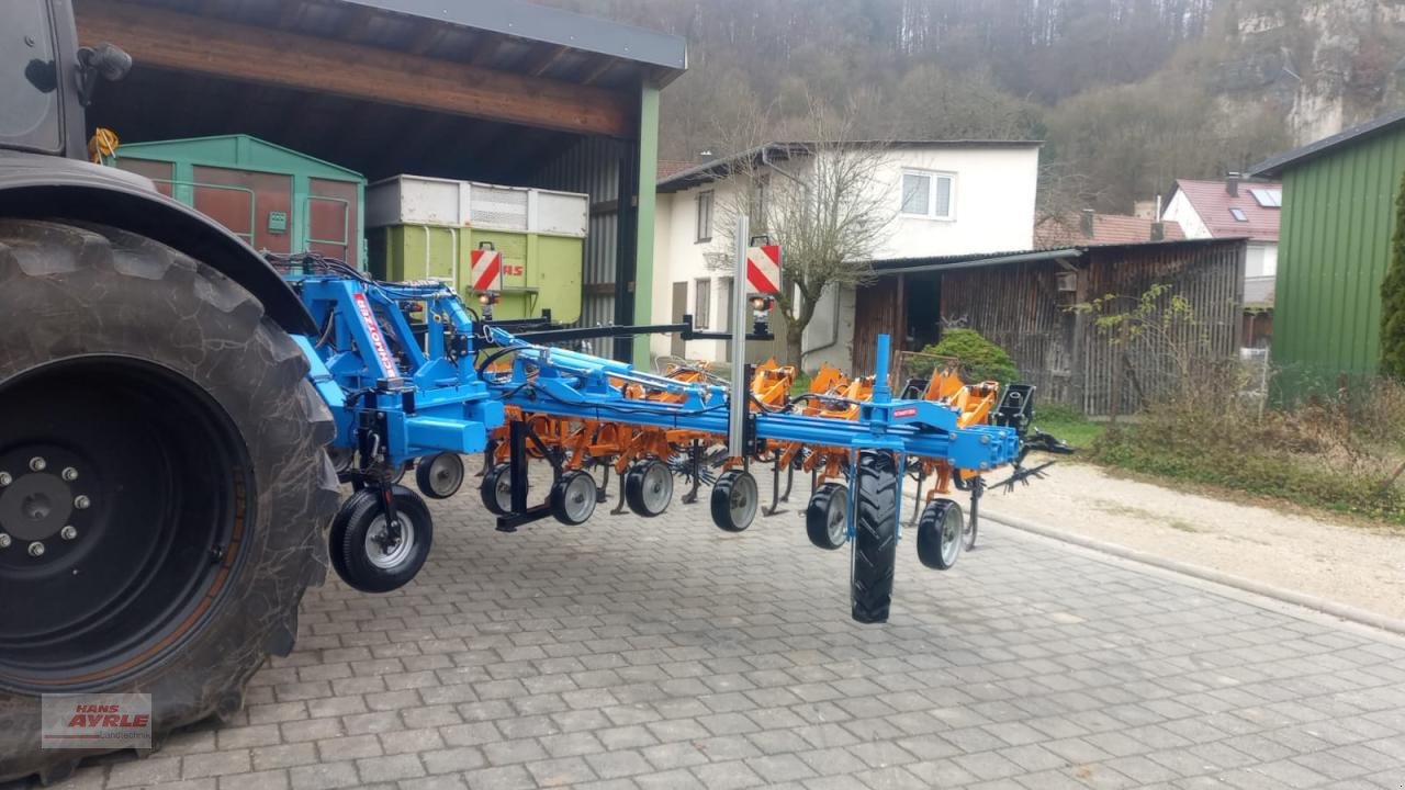 Sonstige Bodenbearbeitungsgeräte des Typs Schmotzer Hacke KHR 12x50, Gebrauchtmaschine in Steinheim (Bild 5)