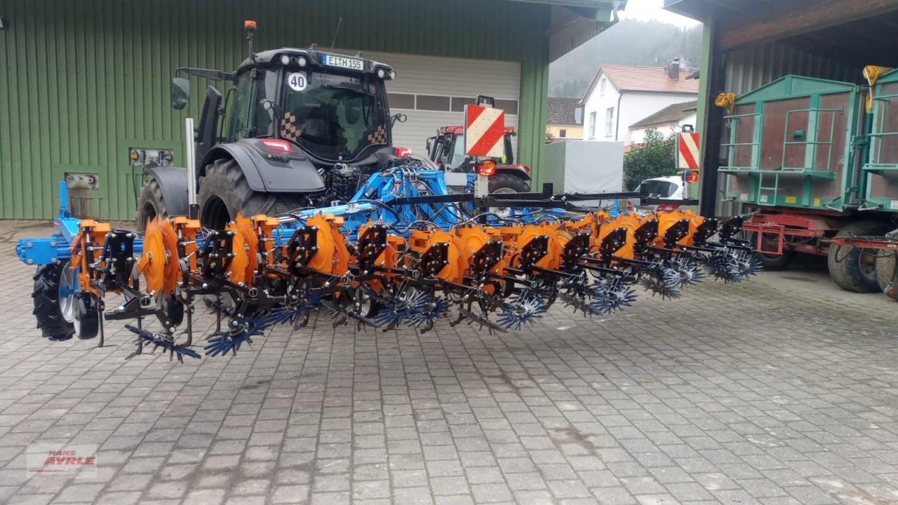 Sonstige Bodenbearbeitungsgeräte des Typs Schmotzer Hacke KHR 12x50, Gebrauchtmaschine in Steinheim (Bild 9)