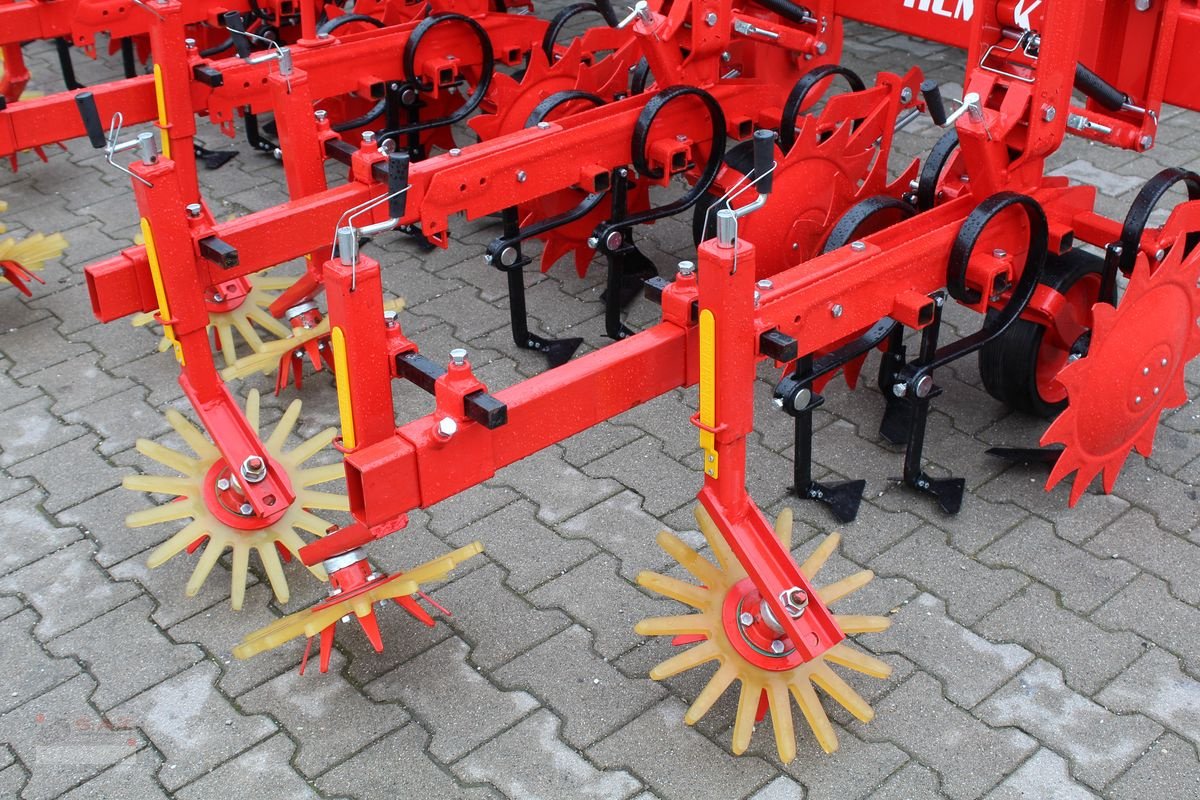 Sonstige Bodenbearbeitungsgeräte del tipo Sonstige Özdöken Hackgerät-6 reihig-NEU, Neumaschine In Eberschwang (Immagine 11)