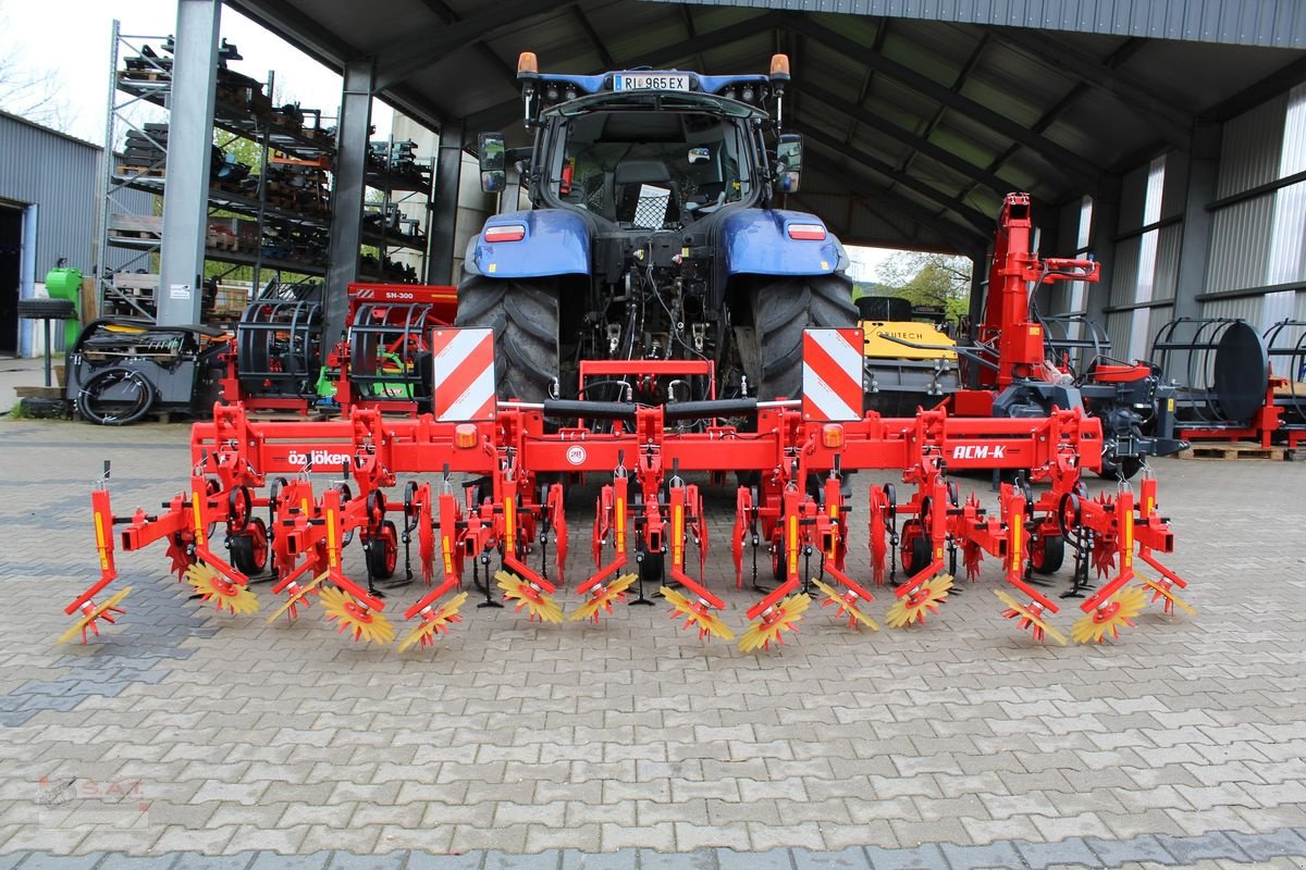 Sonstige Bodenbearbeitungsgeräte del tipo Sonstige Özdöken Hackgerät-6 reihig-NEU, Neumaschine In Eberschwang (Immagine 23)