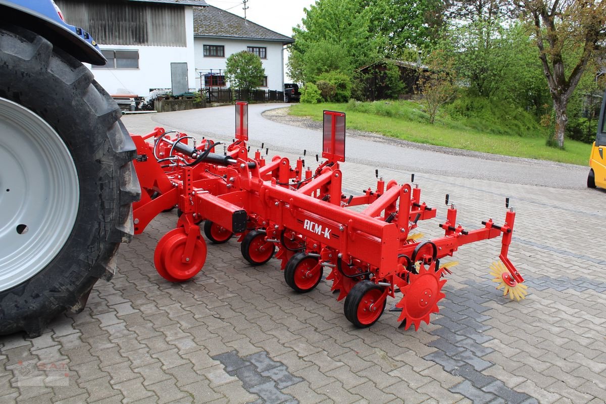 Sonstige Bodenbearbeitungsgeräte des Typs Sonstige Özdöken Hackgerät-6 reihig-NEU, Neumaschine in Eberschwang (Bild 27)