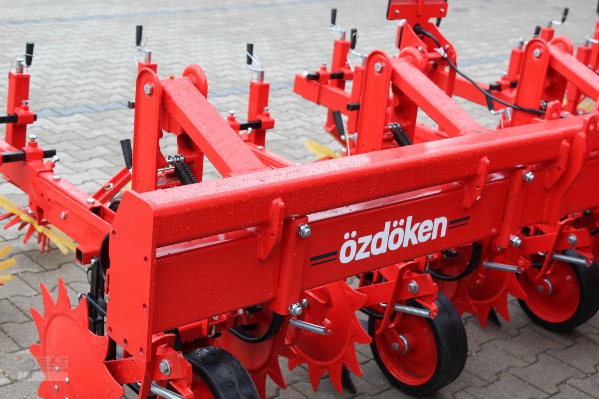 Sonstige Bodenbearbeitungsgeräte del tipo Sonstige Özdöken Hackgerät-6 reihig-NEU, Neumaschine In Eberschwang (Immagine 4)