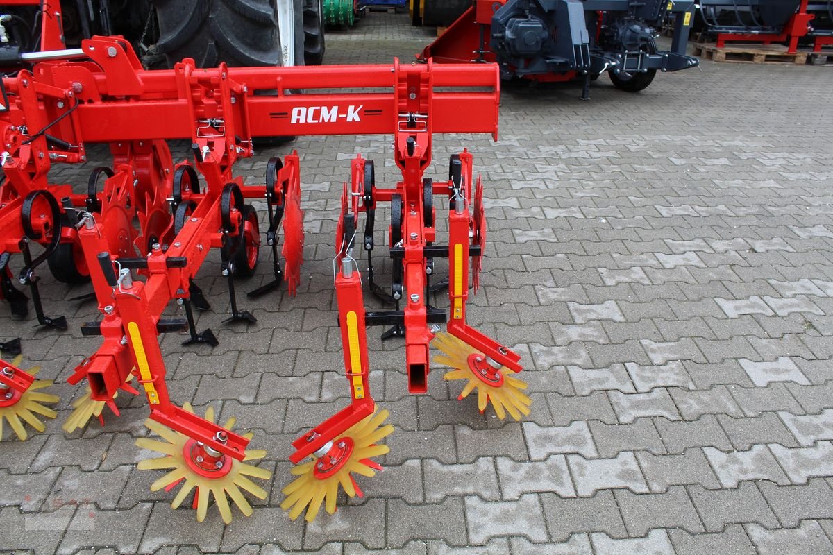Sonstige Bodenbearbeitungsgeräte del tipo Sonstige Özdöken Hackgerät-6 reihig-NEU, Neumaschine In Eberschwang (Immagine 12)