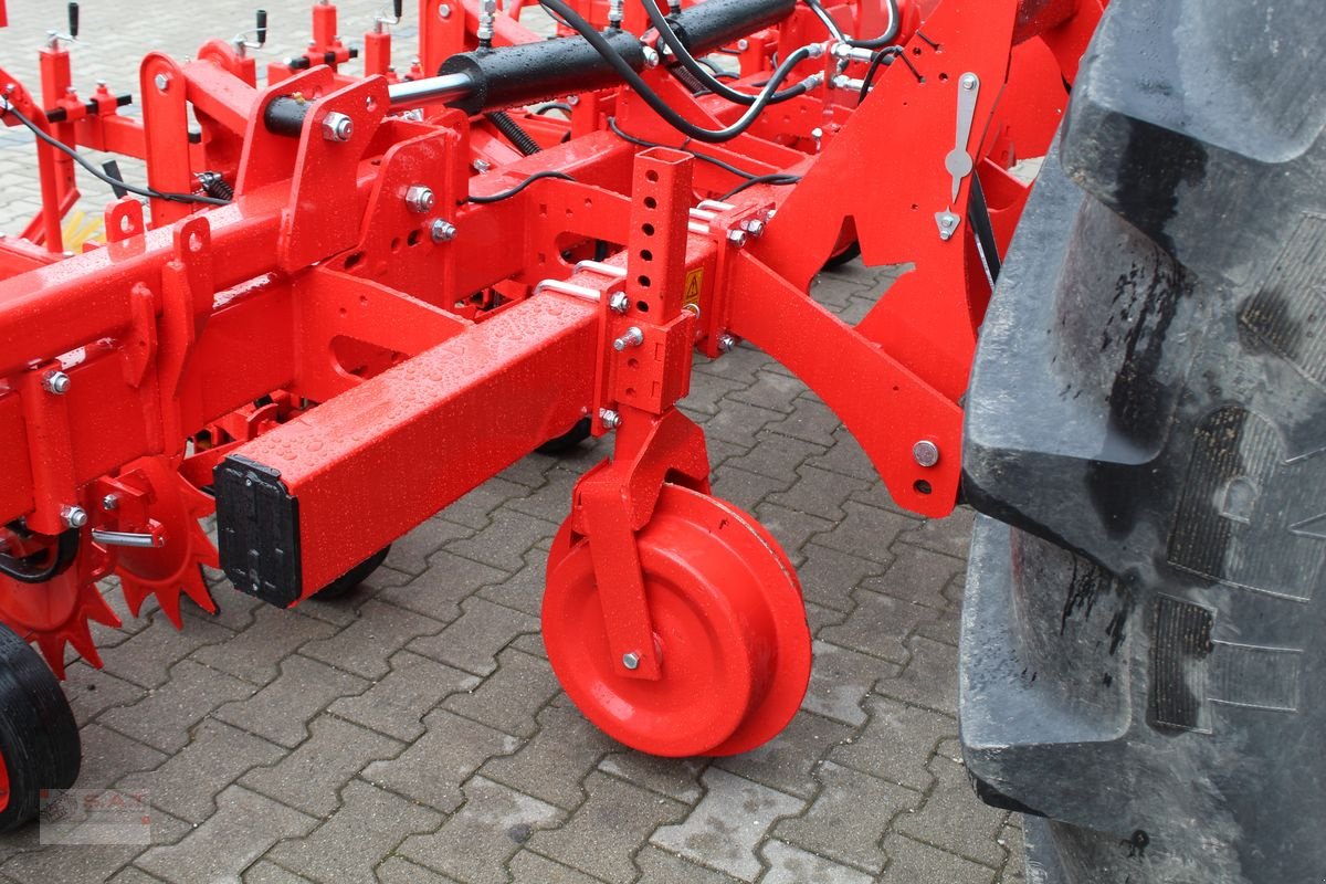 Sonstige Bodenbearbeitungsgeräte des Typs Sonstige Özdöken Hackgerät-6 reihig-NEU, Neumaschine in Eberschwang (Bild 3)