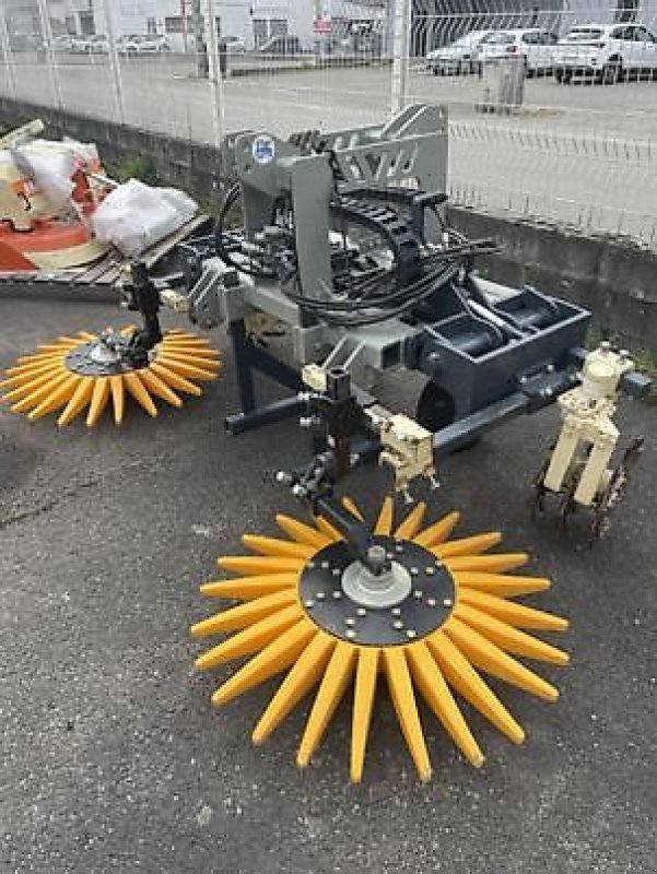 Sonstige Bodenbearbeitungsgeräte des Typs Sonstige BRAUN ARBO, Neumaschine in MOISSAC (Bild 1)