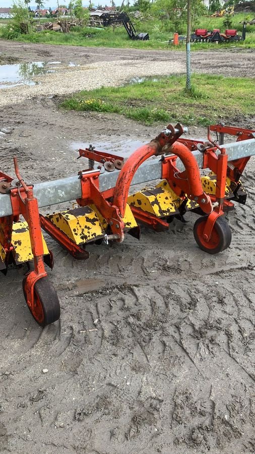 Sonstige Bodenbearbeitungsgeräte des Typs Sonstige Breviglieri Reihenfräse, Gebrauchtmaschine in Eferding (Bild 4)