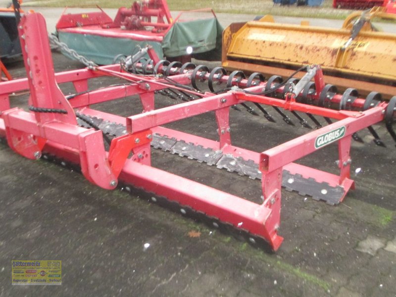 Sonstige Bodenbearbeitungsgeräte del tipo Sonstige Globus, Gebrauchtmaschine en Eferding (Imagen 1)