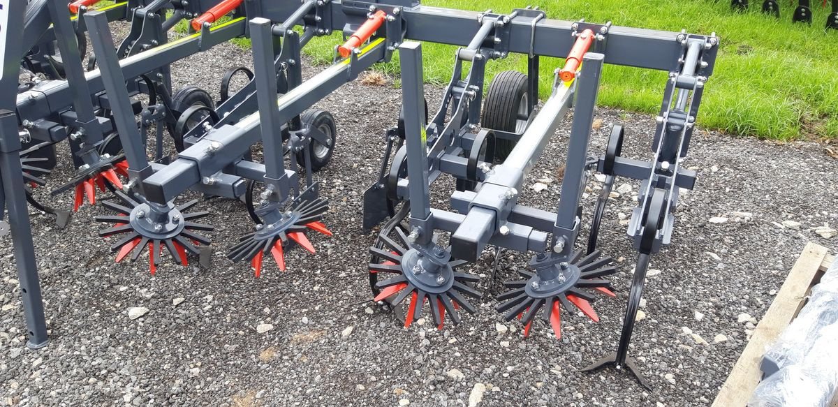 Sonstige Bodenbearbeitungsgeräte Türe ait Sonstige Hackgerät Madara Precise OKL 6  S - Front, Neumaschine içinde Harmannsdorf (resim 4)