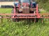 Sonstige Bodenbearbeitungsgeräte типа Sonstige Jordpakker/frontpakker med harvetænger 3 meter, Gebrauchtmaschine в Egtved (Фотография 2)