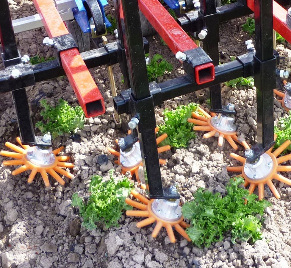 Sonstige Bodenbearbeitungsgeräte des Typs Sonstige K.U.L.T Fingerhackset frei Haus!, Neumaschine in Eberschwang (Bild 21)