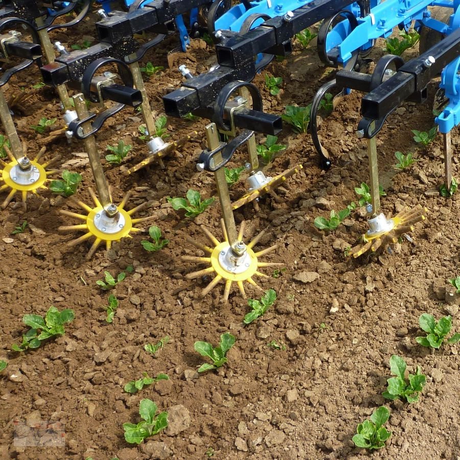 Sonstige Bodenbearbeitungsgeräte des Typs Sonstige K.U.L.T Fingerhackset frei Haus!, Neumaschine in Eberschwang (Bild 20)