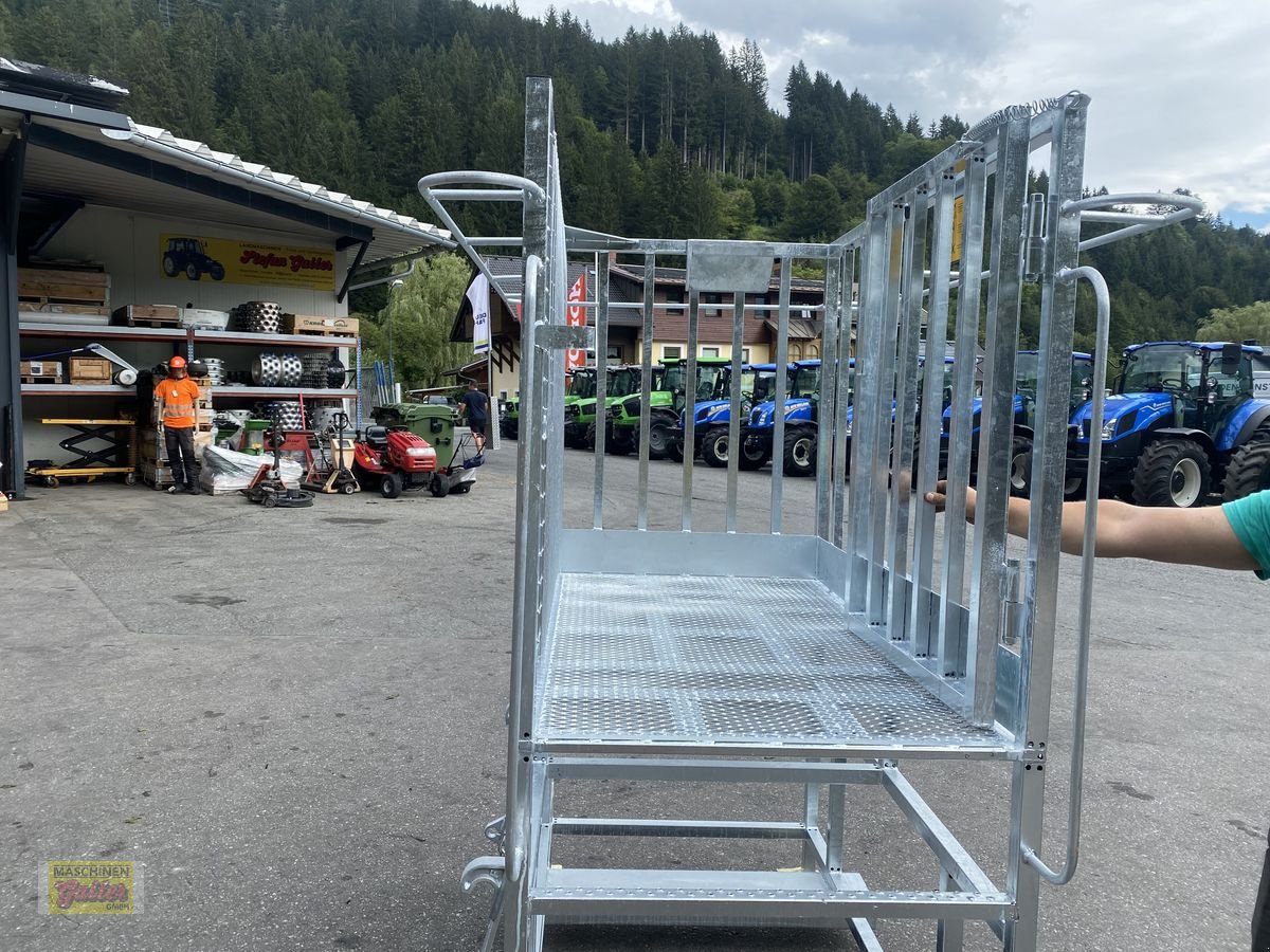 Sonstige Bühnen des Typs Sonstige Fliegl Arbeitsbühne/Arbeitskorb mit Euroaufnahme, Neumaschine in Kötschach (Bild 16)