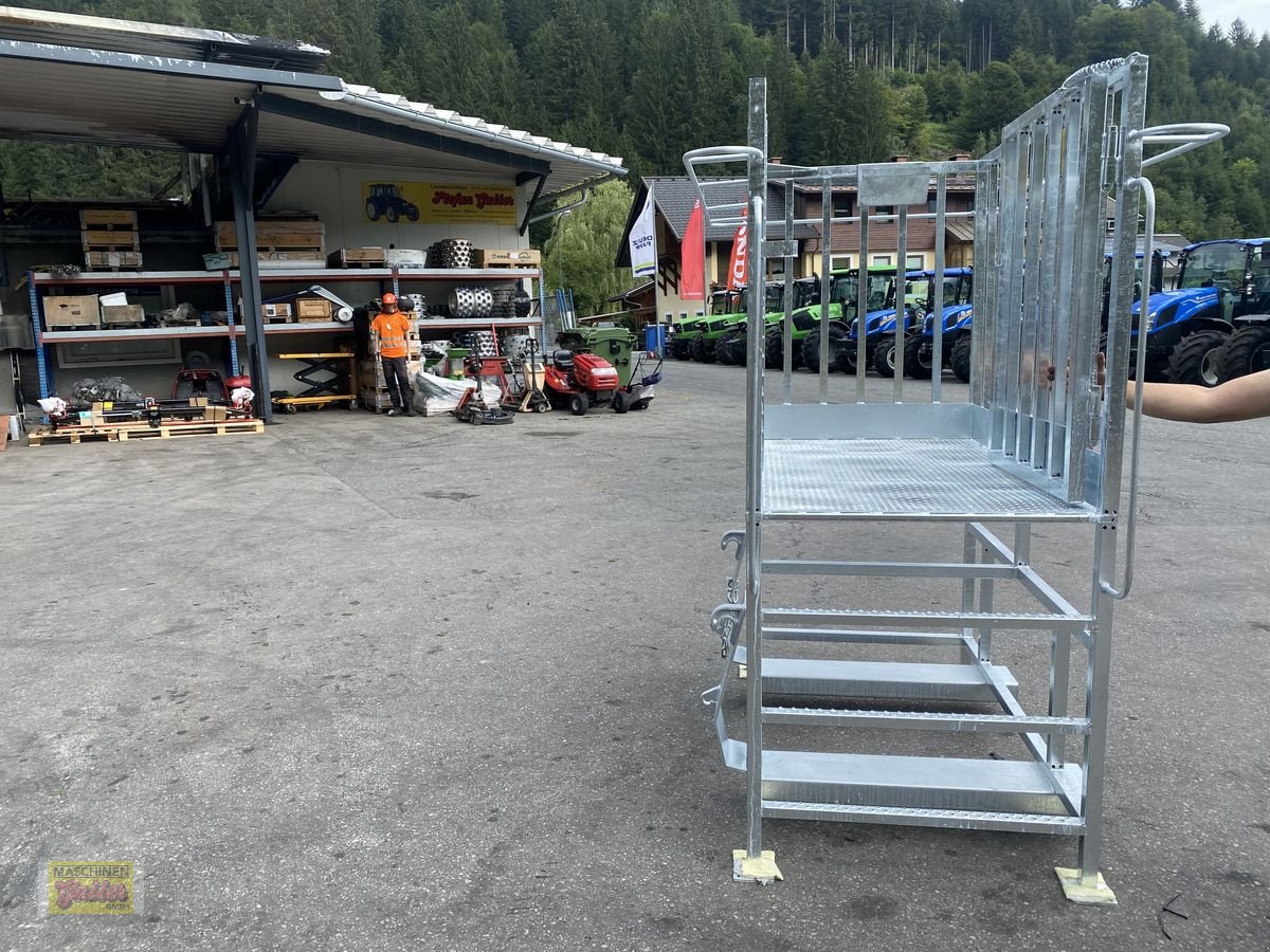 Sonstige Bühnen des Typs Sonstige Fliegl Arbeitsbühne/Arbeitskorb mit Euroaufnahme, Neumaschine in Kötschach (Bild 17)