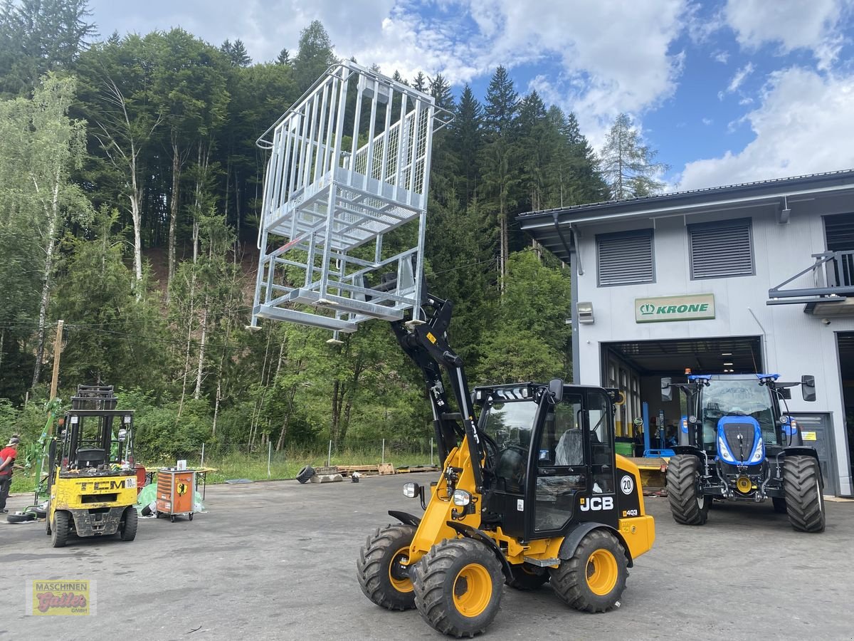 Sonstige Bühnen des Typs Sonstige Fliegl Arbeitsbühne/Arbeitskorb mit Euroaufnahme, Neumaschine in Kötschach (Bild 28)