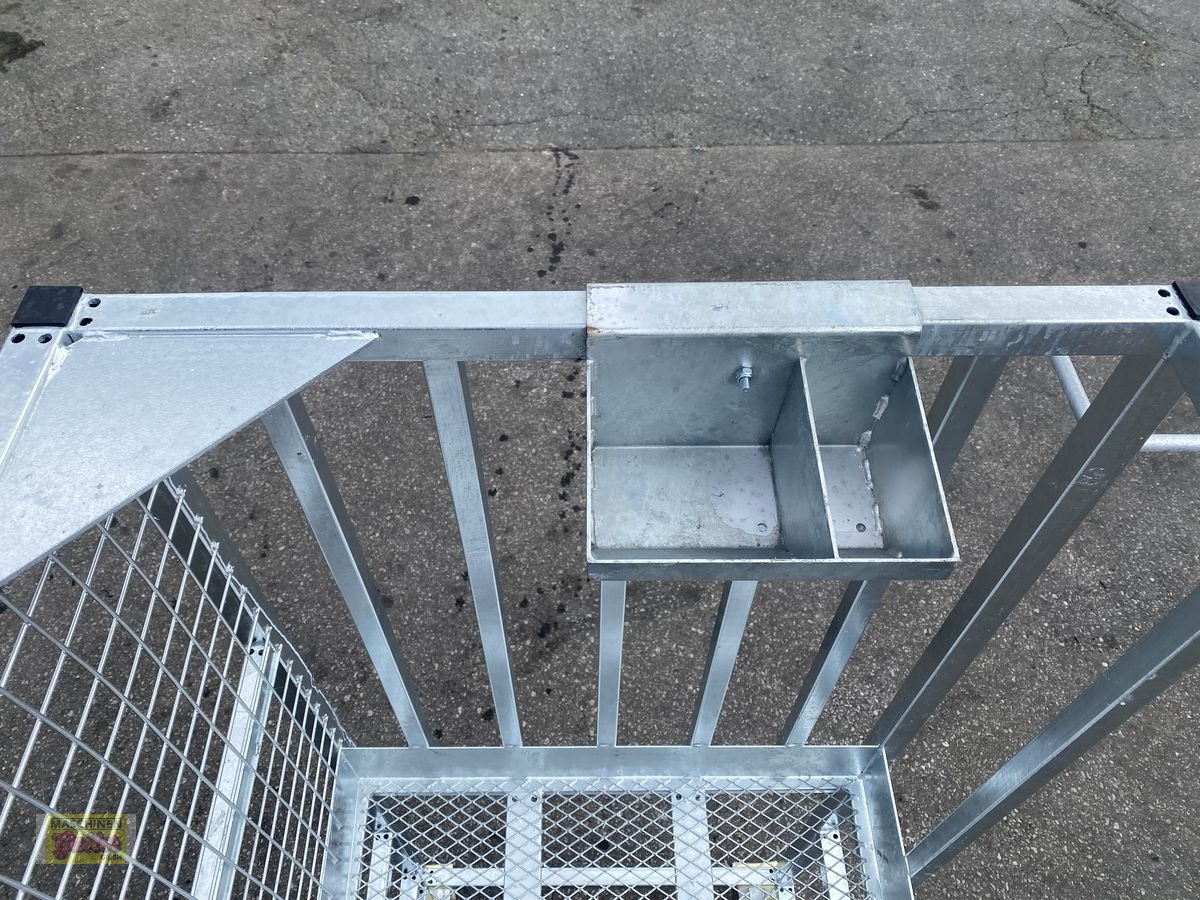 Sonstige Bühnen des Typs Sonstige Fliegl Arbeitsbühne/Arbeitskorb mit Euroaufnahme, Neumaschine in Kötschach (Bild 18)