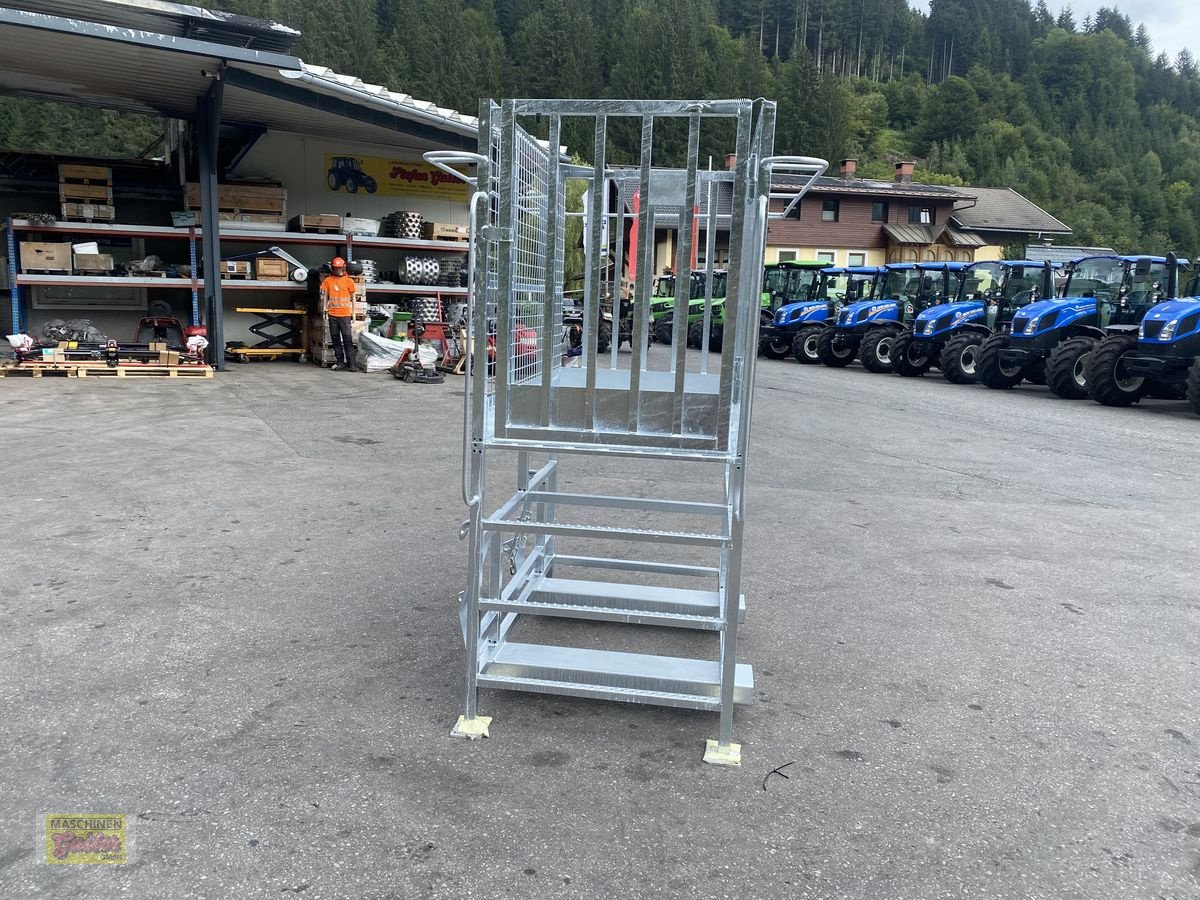 Sonstige Bühnen des Typs Sonstige Fliegl Arbeitsbühne/Arbeitskorb mit Euroaufnahme, Neumaschine in Kötschach (Bild 5)