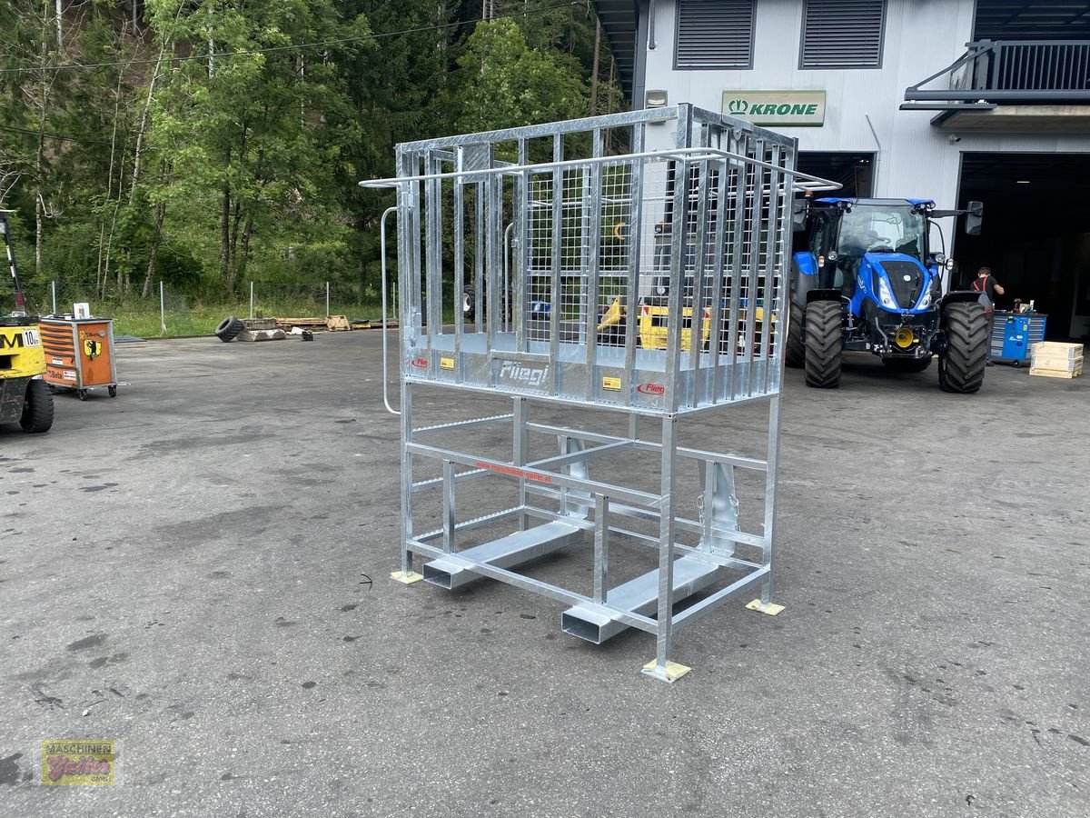 Sonstige Bühnen des Typs Sonstige Fliegl Arbeitsbühne/Arbeitskorb mit Euroaufnahme, Neumaschine in Kötschach (Bild 1)