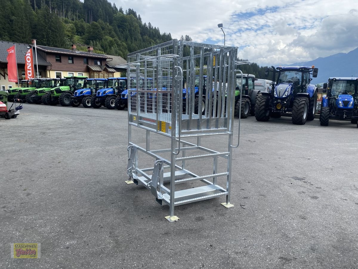 Sonstige Bühnen des Typs Sonstige Fliegl Arbeitsbühne/Arbeitskorb mit Euroaufnahme, Neumaschine in Kötschach (Bild 7)