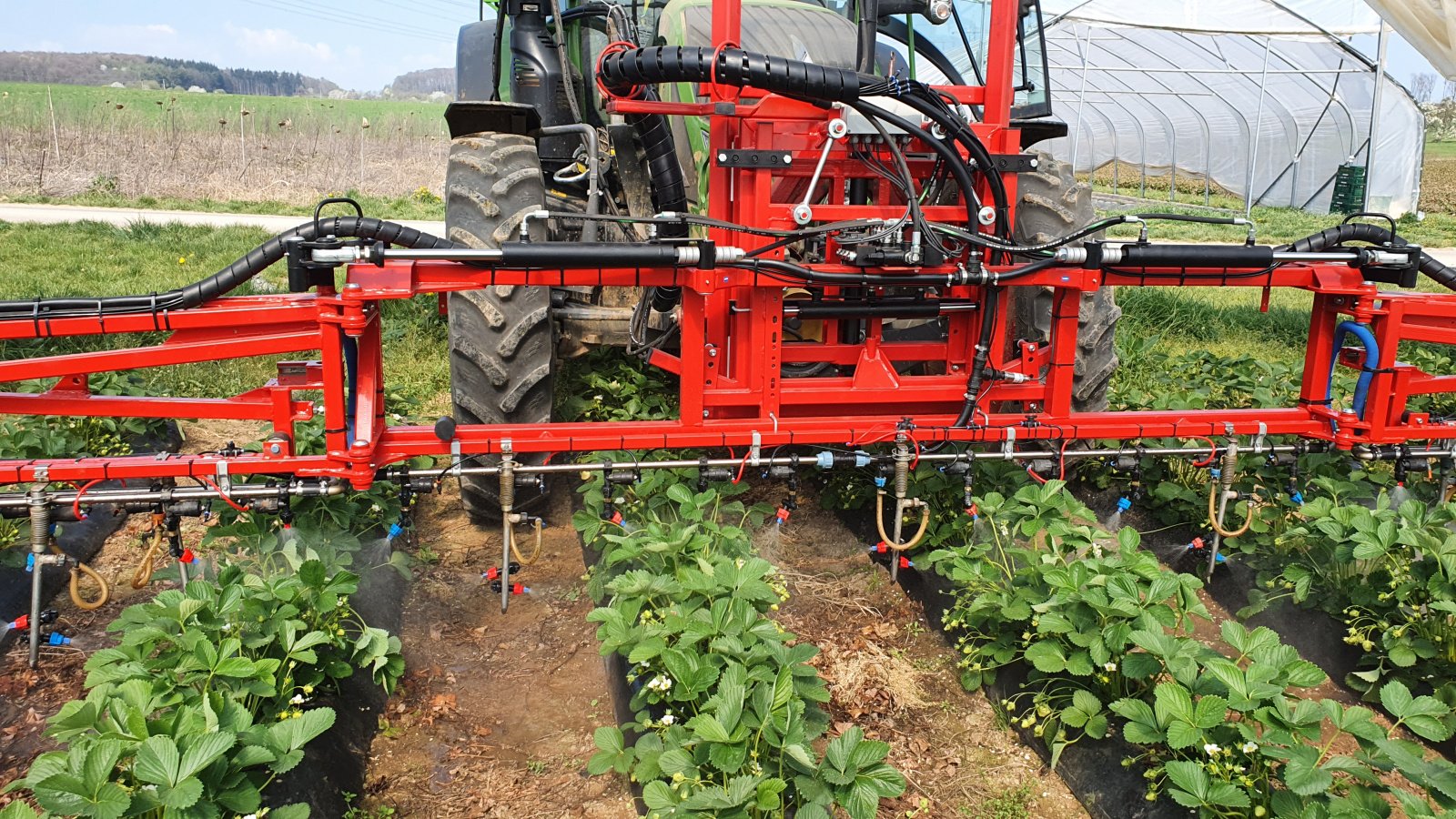 Sonstige Düngung & Pflanzenschutztechnik typu AGRIPP Erdbeergestänge, Neumaschine v Welver (Obrázek 1)