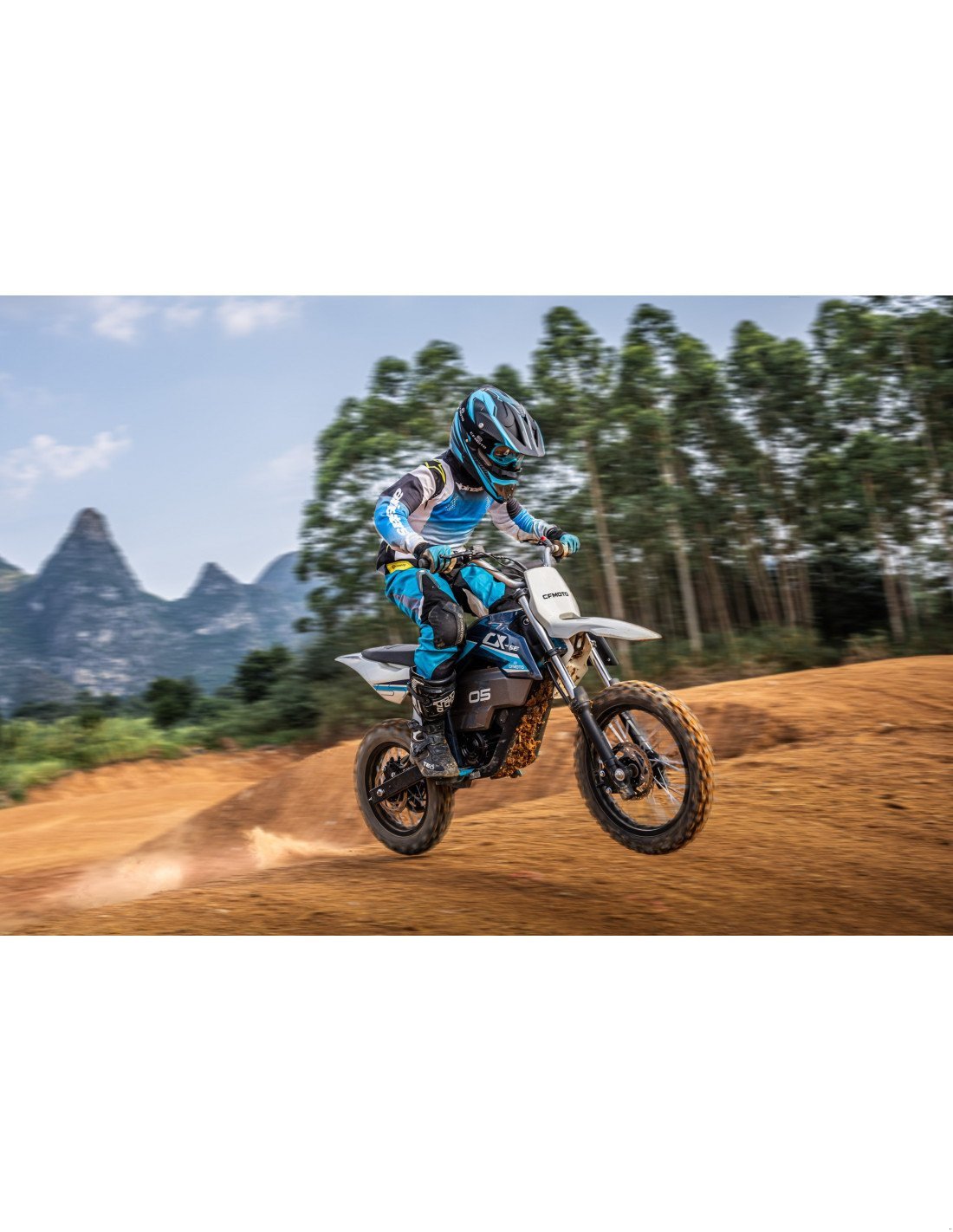 Sonstige Düngung & Pflanzenschutztechnik типа Sonstige CF MOTO CX-5E, Gebrauchtmaschine в LA SOUTERRAINE (Фотография 3)