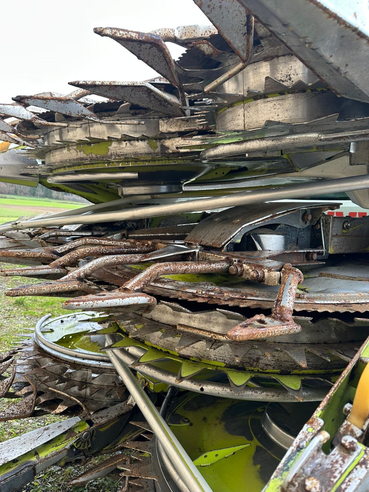 Sonstige Feldhäcksler des Typs CLAAS Orbis 750, Gebrauchtmaschine in Osterberg (Bild 5)