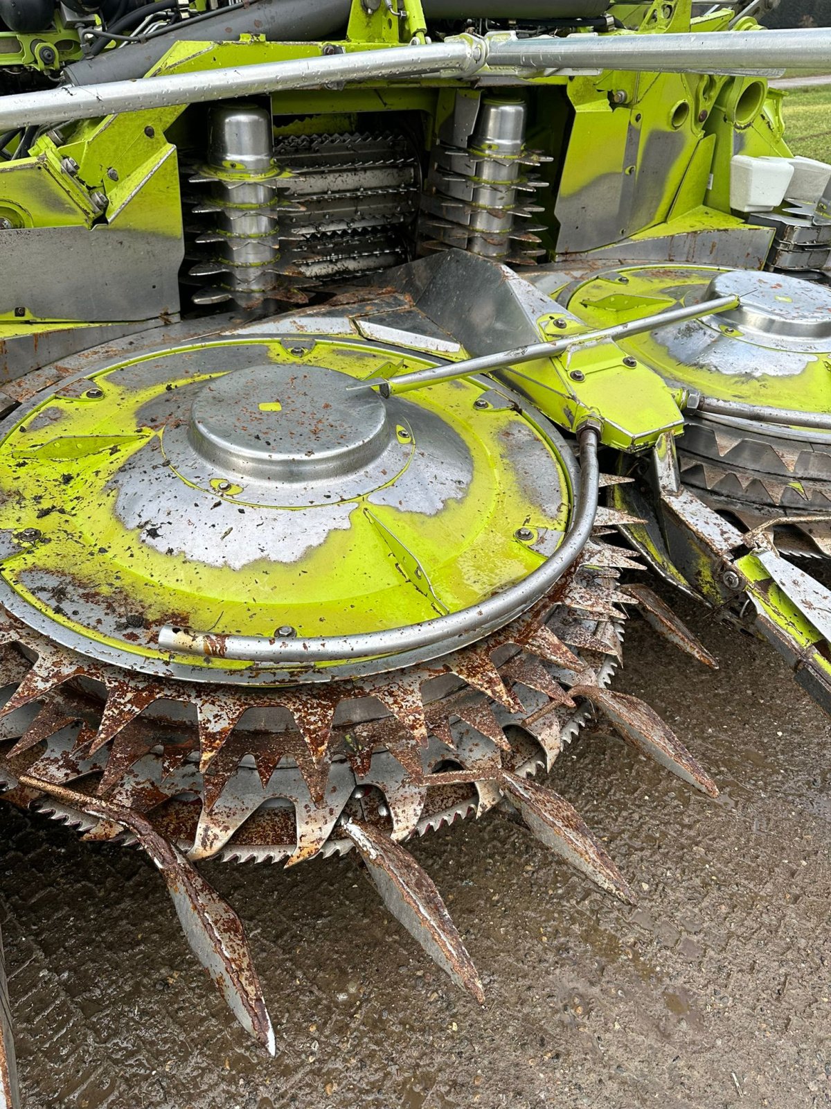 Sonstige Feldhäcksler des Typs CLAAS Orbis 750, Gebrauchtmaschine in Osterberg (Bild 9)