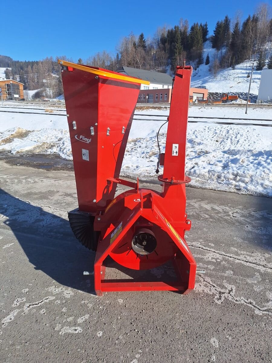 Sonstige Forsttechnik Türe ait Fliegl Holzhacker Big, Gebrauchtmaschine içinde Tamsweg (resim 1)