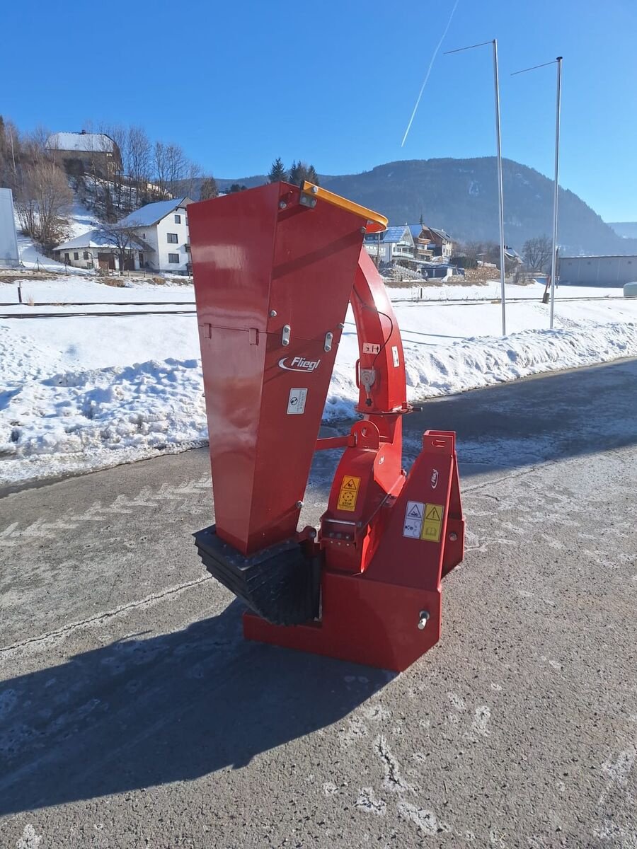 Sonstige Forsttechnik Türe ait Fliegl Holzhacker Big, Gebrauchtmaschine içinde Tamsweg (resim 6)