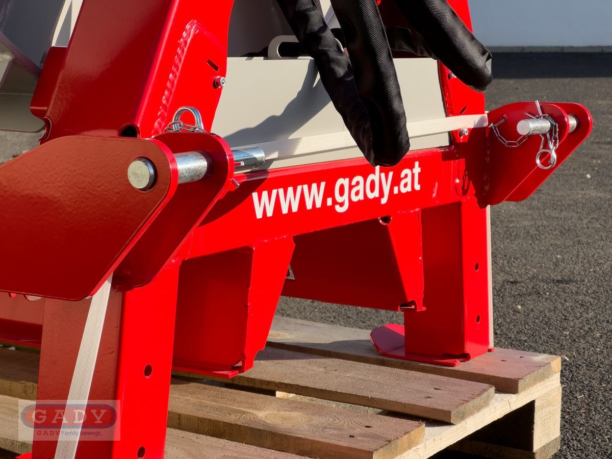 Sonstige Forsttechnik Türe ait Lancman 2002 H SOLO HOLZBÜNDELGERÄT, Neumaschine içinde Lebring (resim 10)