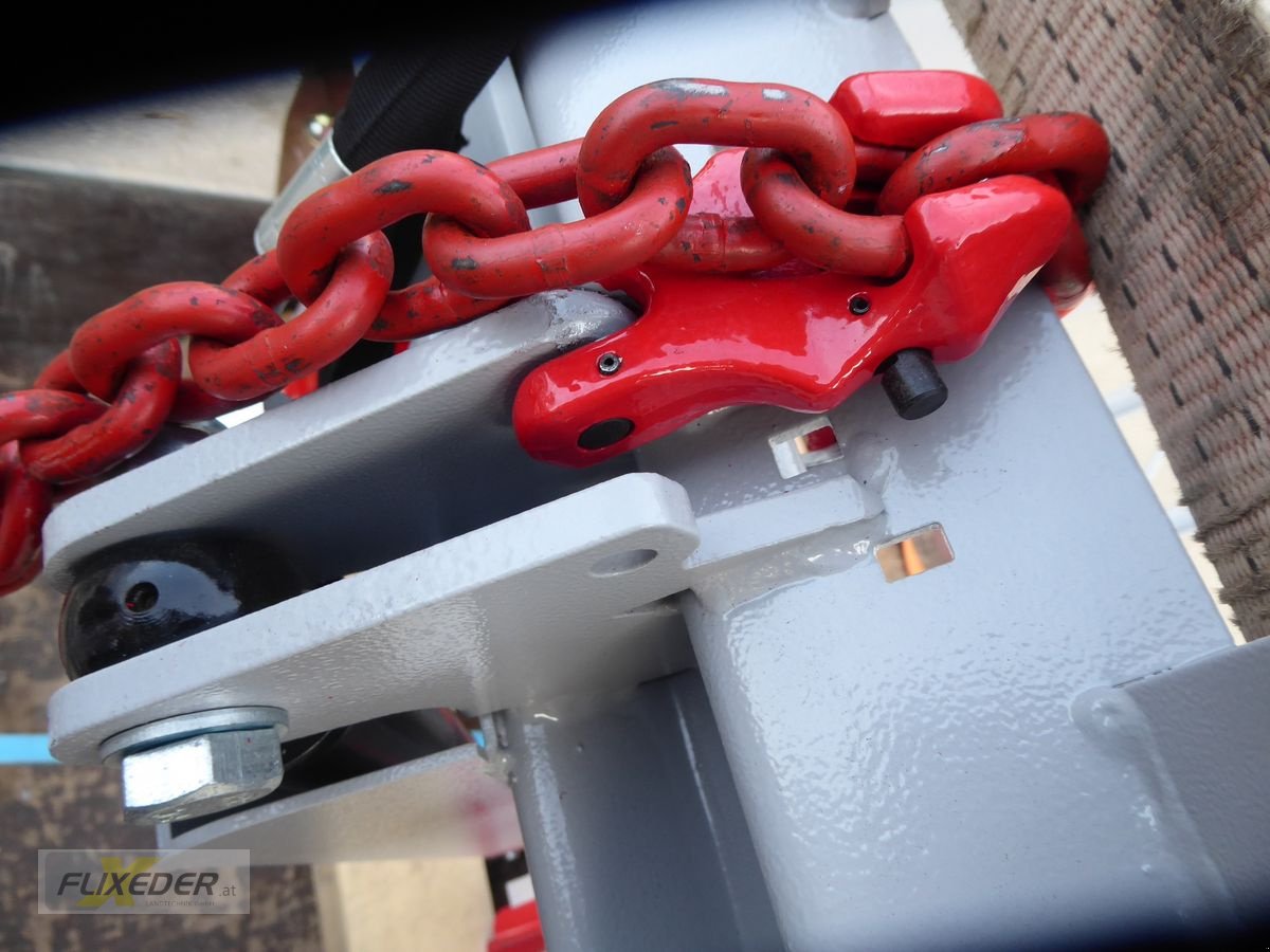 Sonstige Forsttechnik του τύπου Lancman 3003 Hydr Vorspann +Euro, Gebrauchtmaschine σε Pattigham (Φωτογραφία 5)