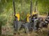 Sonstige Forsttechnik des Typs MD Landmaschinen AT Baumpflanzmaschine-leichte Ausführung, Neumaschine in Zeven (Bild 7)
