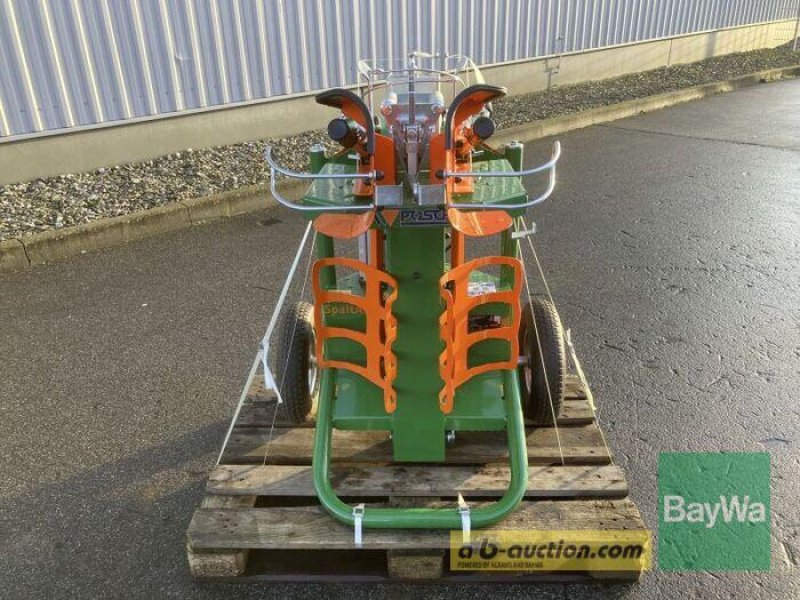 Sonstige Forsttechnik typu Posch POSCH SPALTAXT 10, Gebrauchtmaschine v Bamberg (Obrázok 5)
