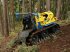 Sonstige Forsttechnik des Typs Reil & Eichinger Forstraupe Reil & Eichinger KAPSEN 18RC Rückeraupe Abverkauf Mietparkmaschine -sofort verfügbar-, Gebrauchtmaschine in Nittenau (Bild 10)