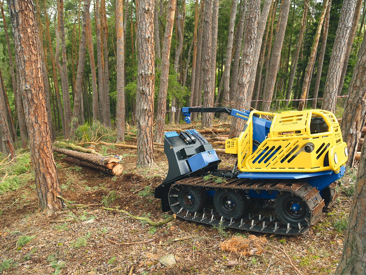 Sonstige Forsttechnik des Typs Reil & Eichinger KAPSEN 18RC Forstraupe, Neumaschine in Nittenau (Bild 2)