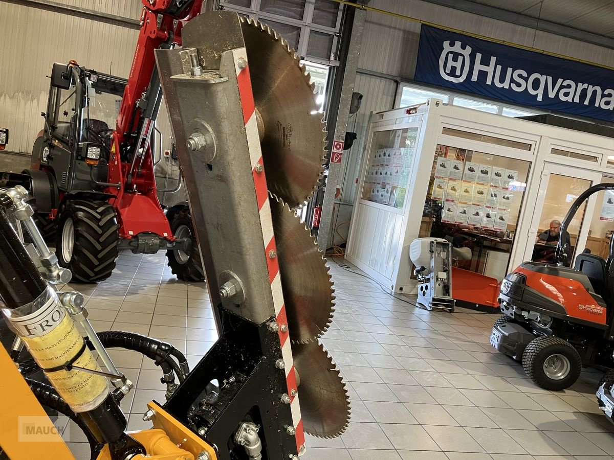 Sonstige Forsttechnik of the type Sonstige Astsäge, Neumaschine in Burgkirchen (Picture 4)
