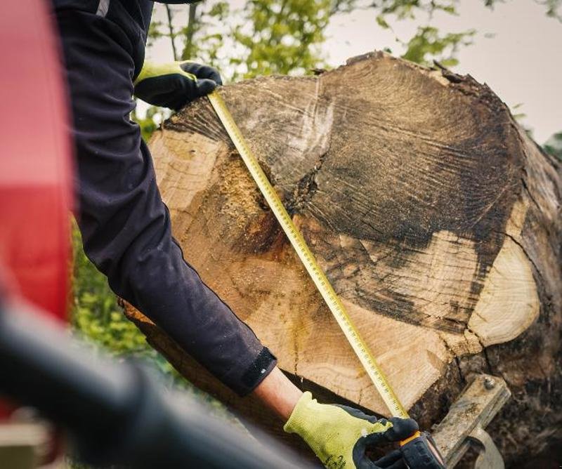 Sonstige Forsttechnik του τύπου Sonstige BS31 Pro, Neumaschine σε Gais (Φωτογραφία 11)