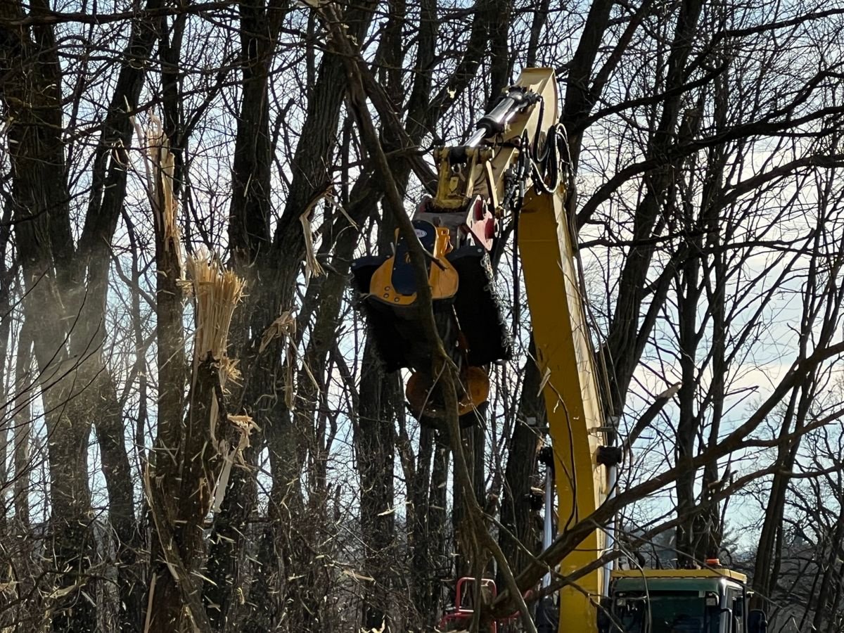 Sonstige Forsttechnik des Typs Sonstige Femac, Neumaschine in Rovisce (Bild 10)