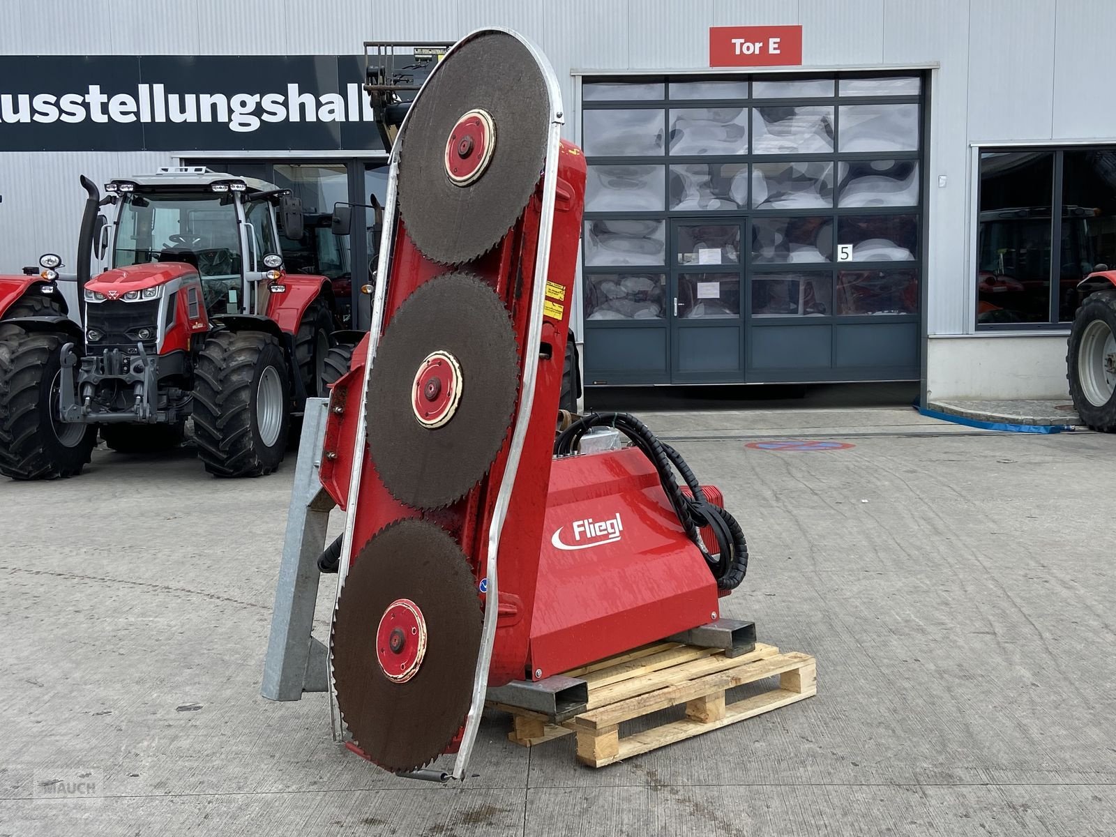 Sonstige Forsttechnik typu Sonstige Fliegl Woodking Astschere, Gebrauchtmaschine v Burgkirchen (Obrázek 7)