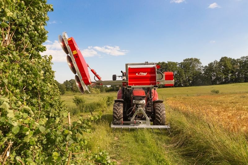Sonstige Forsttechnik des Typs Sonstige Fliegl Woodking Classic rechts Astsäge, Neumaschine in St. Marienkirchen (Bild 5)