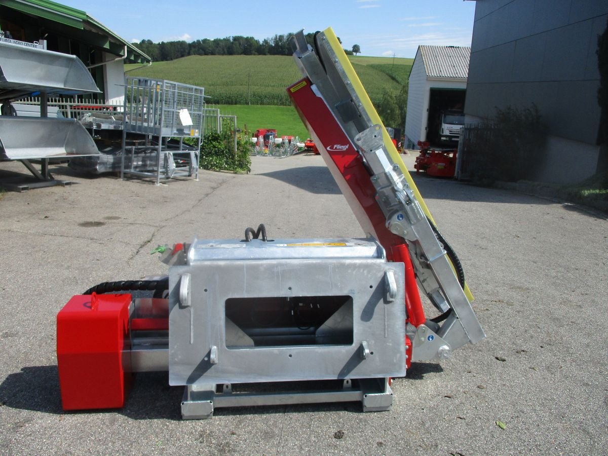 Sonstige Forsttechnik des Typs Sonstige Fliegl Woodking Classic rechts Astsäge, Neumaschine in St. Marienkirchen (Bild 12)