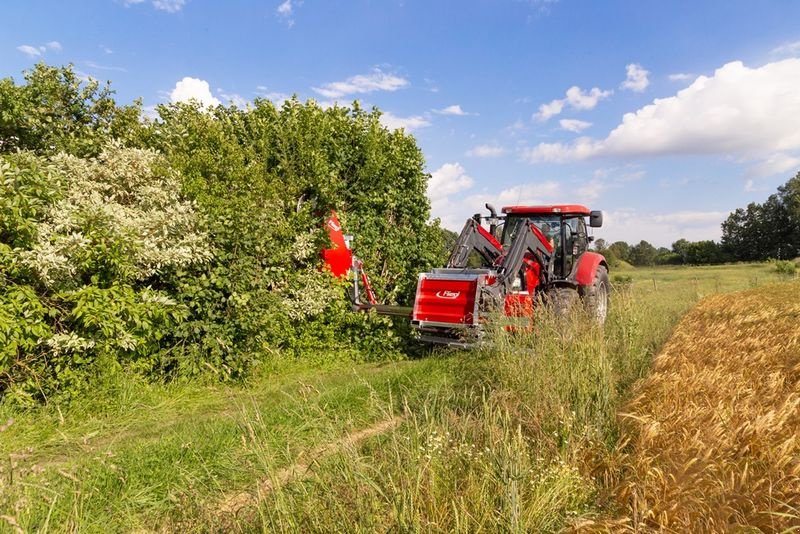 Sonstige Forsttechnik des Typs Sonstige Fliegl Woodking Classic rechts Astsäge, Neumaschine in St. Marienkirchen (Bild 4)
