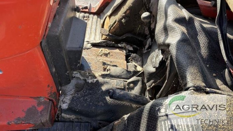 Sonstige Forsttechnik του τύπου Sonstige GEBRAUCHTES KLEINGERÄT, Gebrauchtmaschine σε Werl-Oberbergstraße (Φωτογραφία 14)