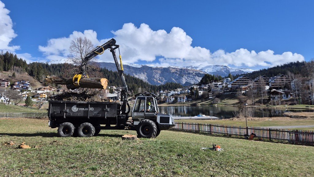 Sonstige Forsttechnik of the type Sonstige Malwa 560.4F, Gebrauchtmaschine in Laax (Picture 6)